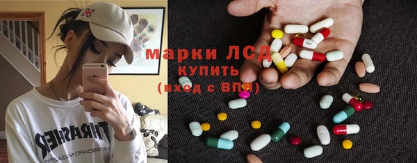 стафф Алзамай