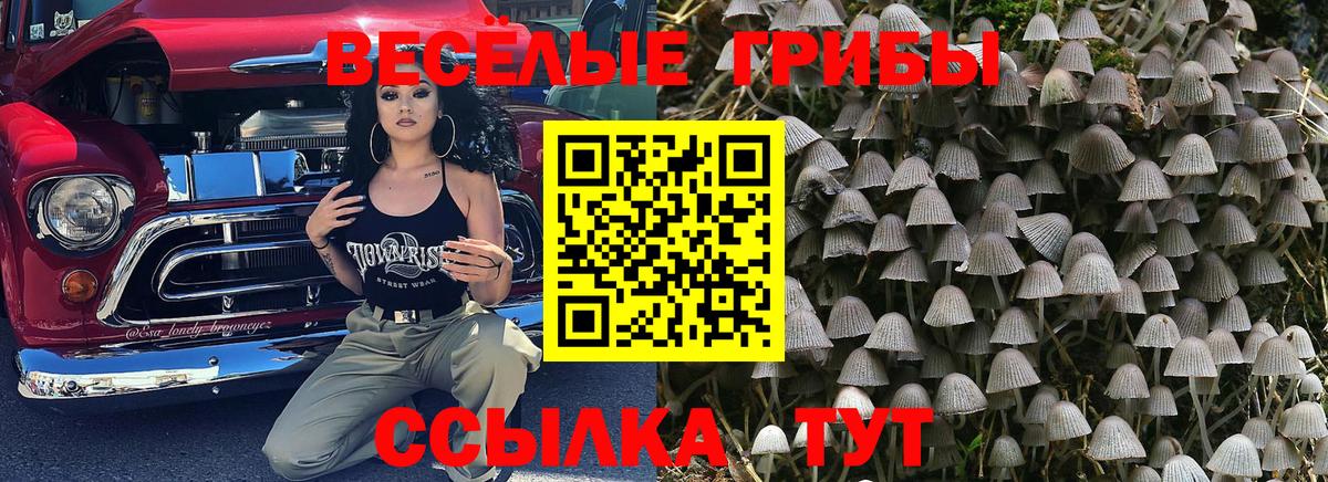 Шумерля  Псилоцибиновые грибы Magic Shrooms  Вход с VPN 